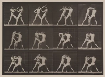 Plate Number 340. Boxing; Open Hand
